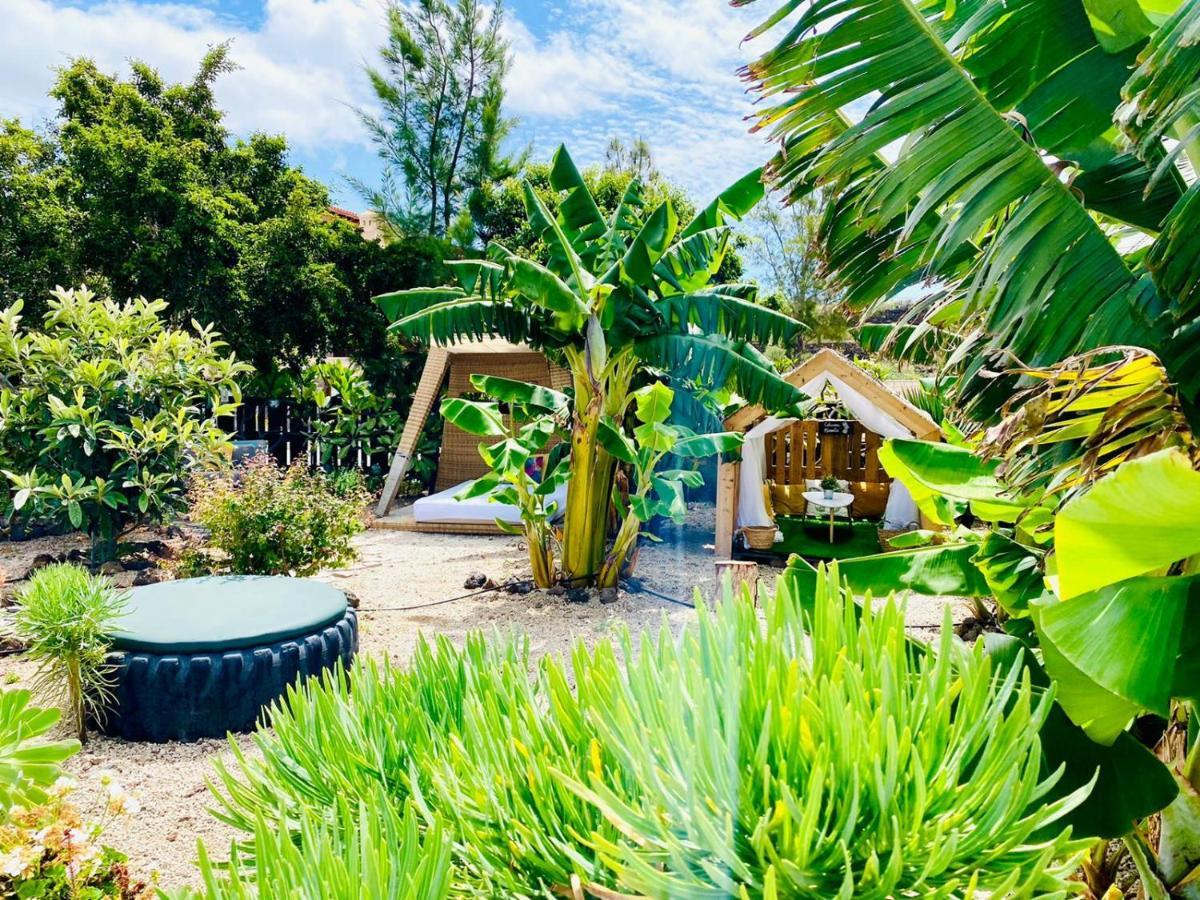 Alisios Hot Tub, Piscina Y Naturaleza Buzanada المظهر الخارجي الصورة