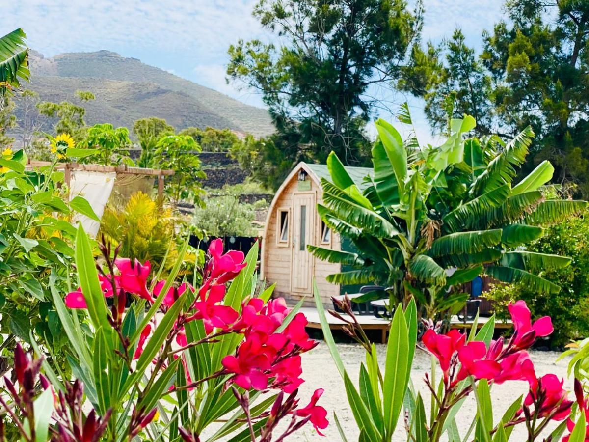 Alisios Hot Tub, Piscina Y Naturaleza Buzanada المظهر الخارجي الصورة